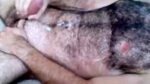Hairy Stud Jizzes On Himself