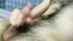 Hairy Cam Dude Nuts Live